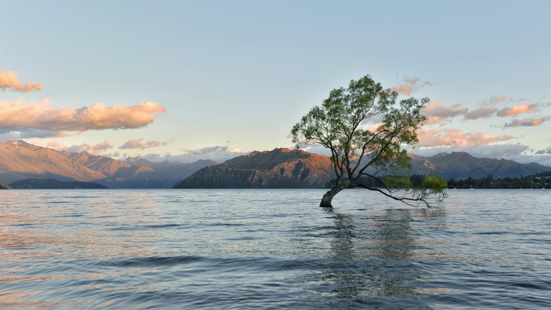Header Sustainability