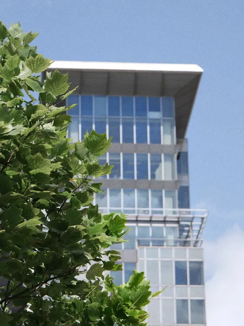 Botanic Tower Homepage